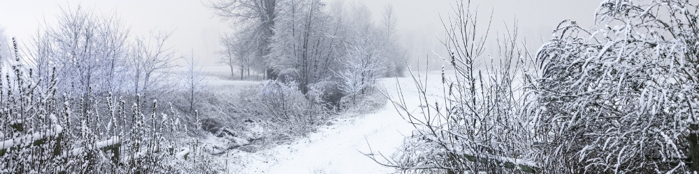 雪